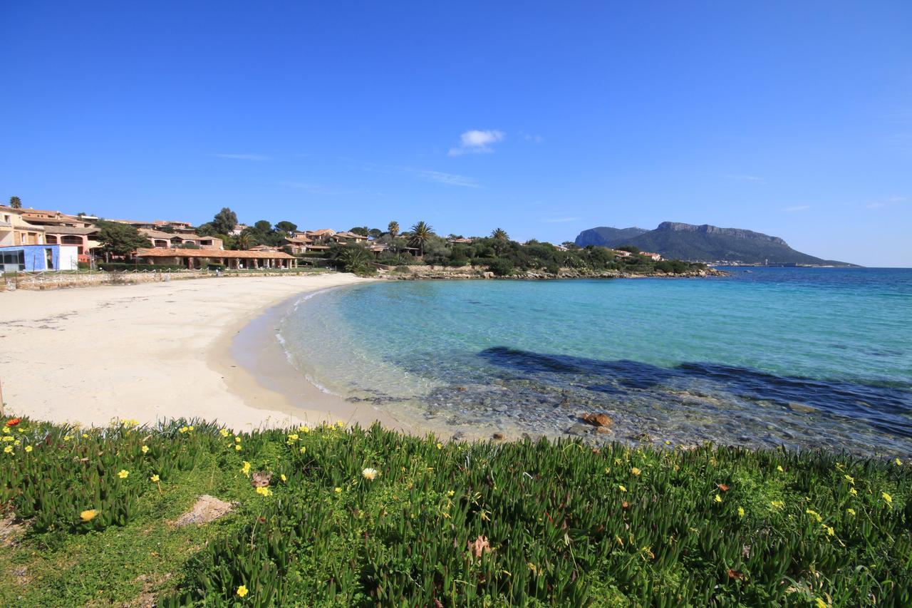 S'Abba Seafront Apartments - Your House In Sardinia Golfo Aranci Buitenkant foto